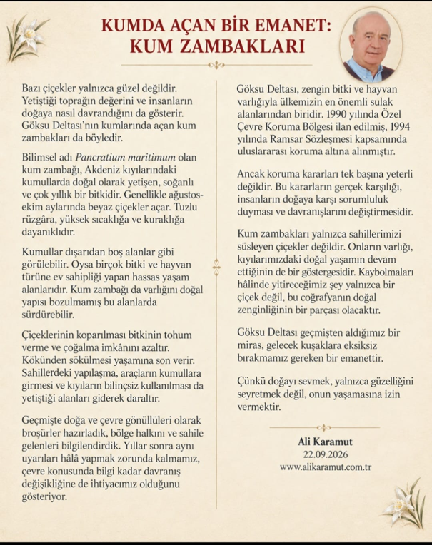 KUMDA AÇAN BİR EMANET KUM ZAMBAKLARI
